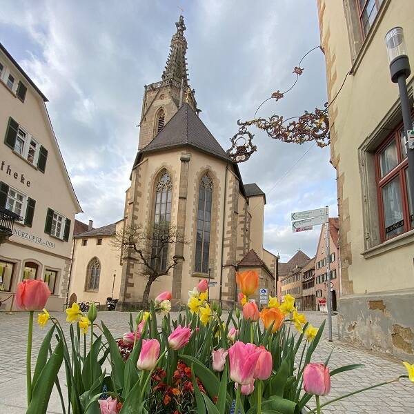 Blick auf den Chor des Rottenburger Domes mit Frühlingsblumen im Vordergrund