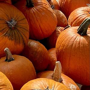 Ein Stapel Kürbisse