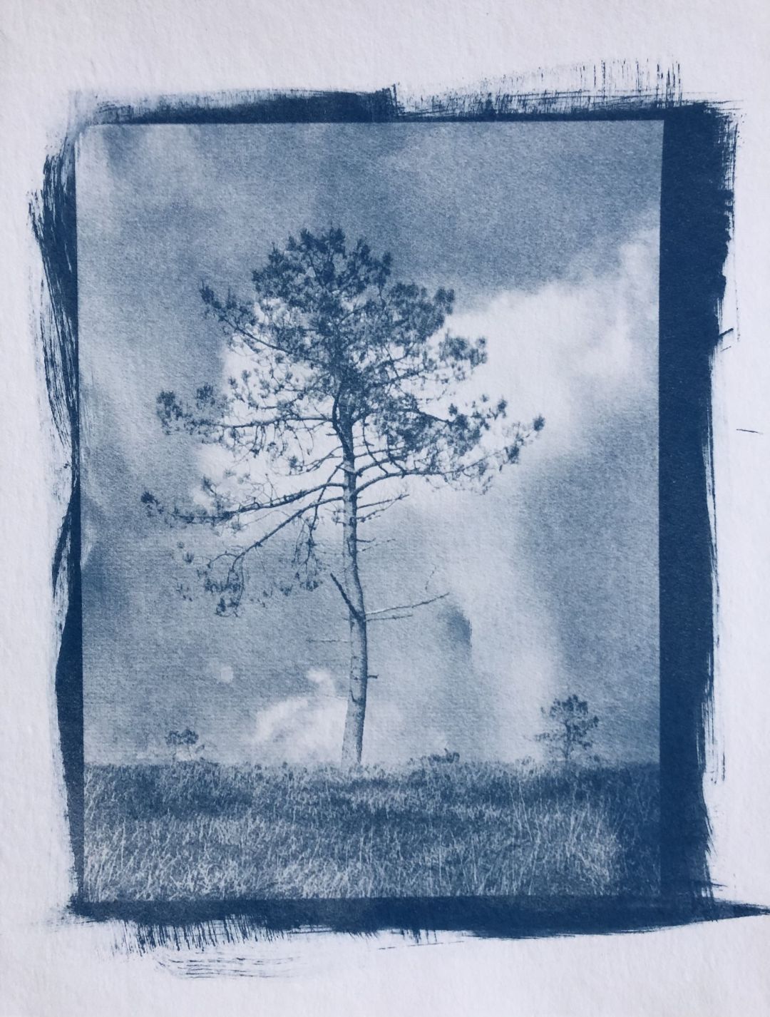 Foto2