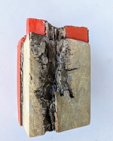 Foto1