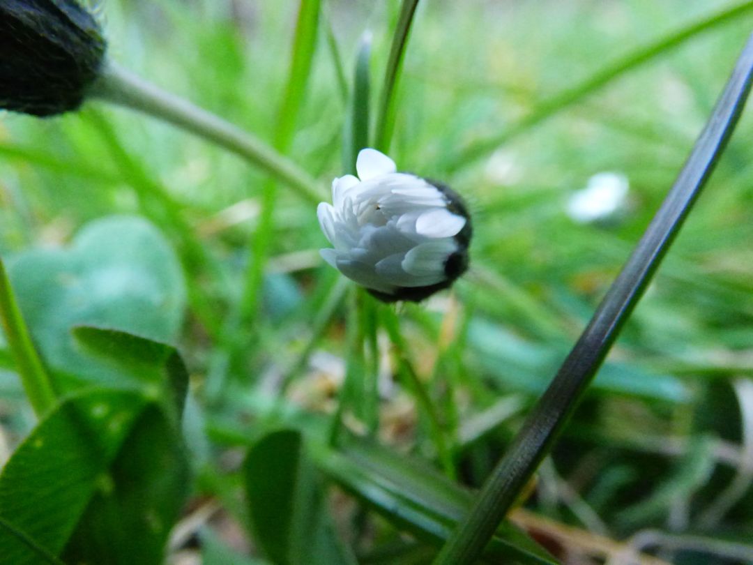 Foto3